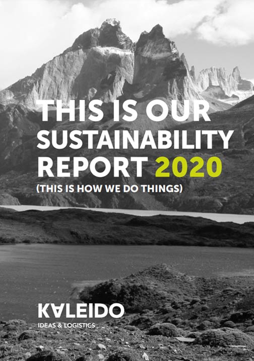 Sustainability Report 2020