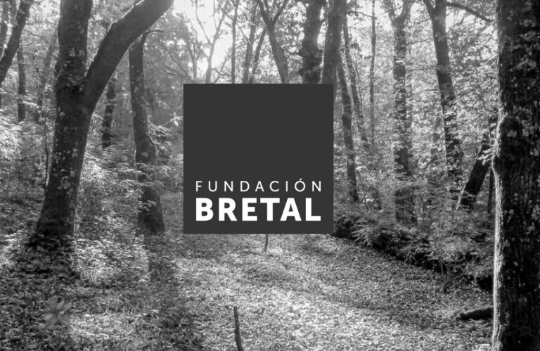 Bretal Foundation established